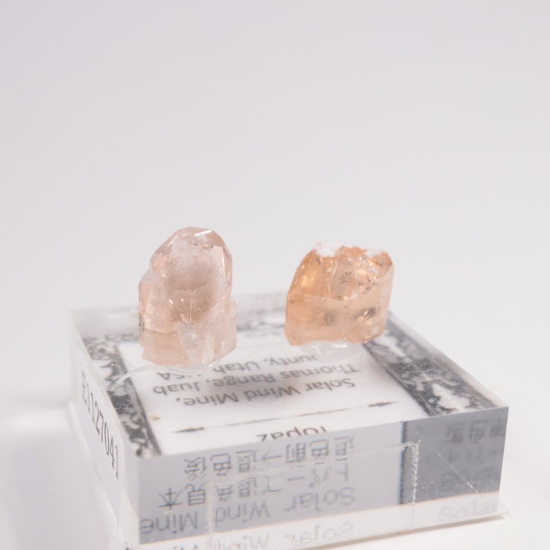 �楿���� �ȥѡ����࿧���ܥ��å�