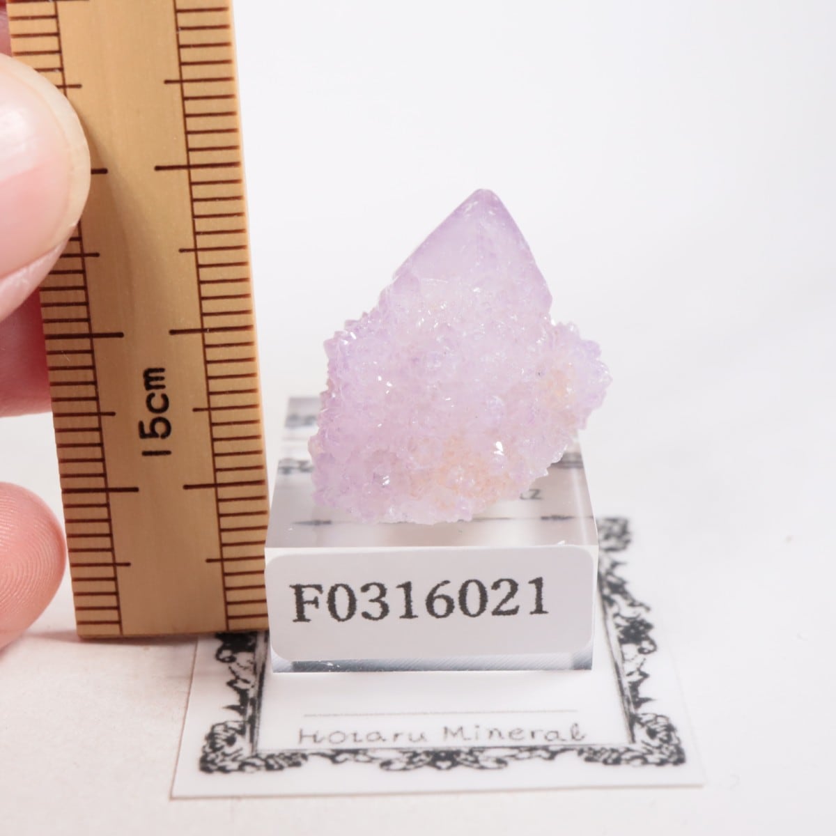 ��եꥫ�� ����������������