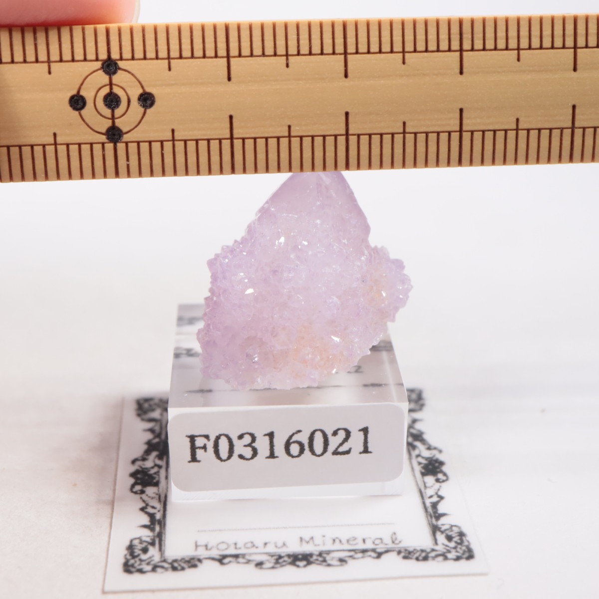 ��եꥫ�� ����������������