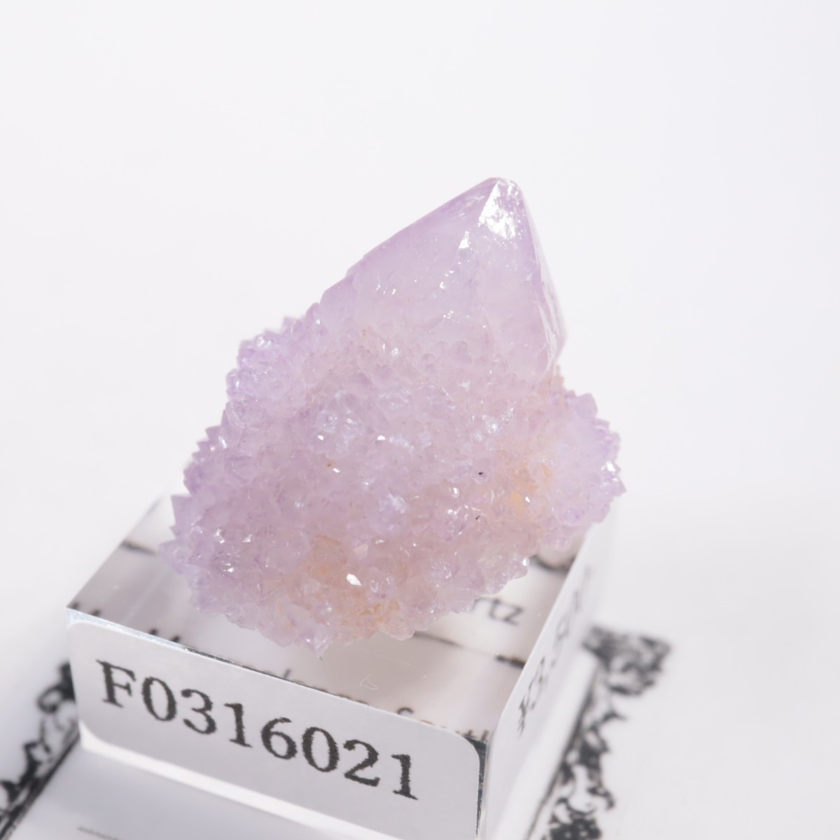 ��եꥫ�� ����������������