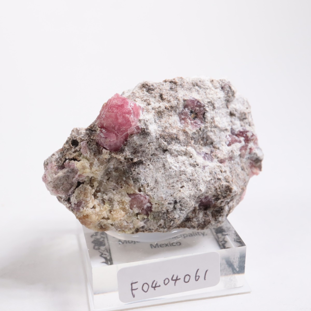 �ᥭ������ ��������顼�����ͥå�