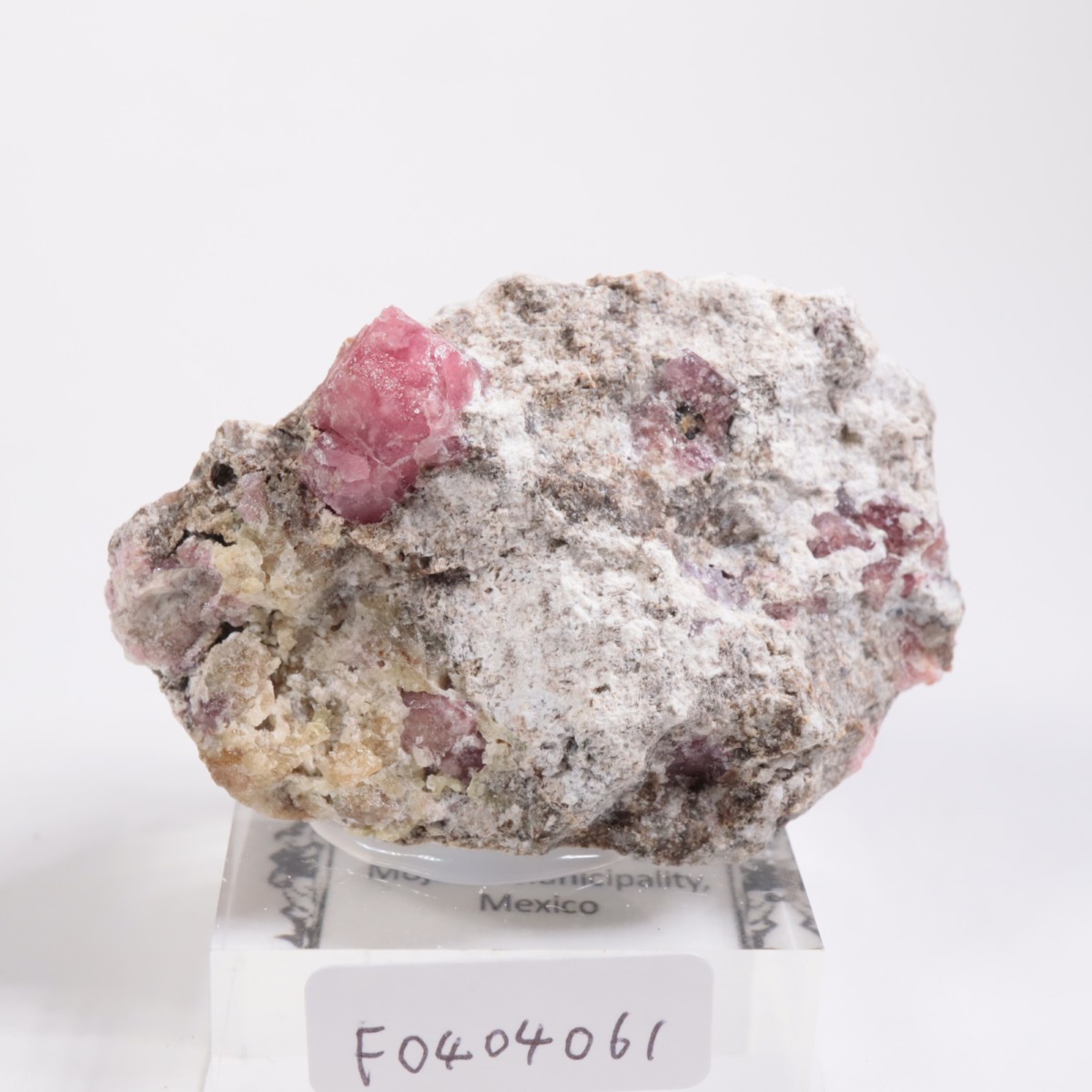 �ᥭ������ ��������顼�����ͥå�