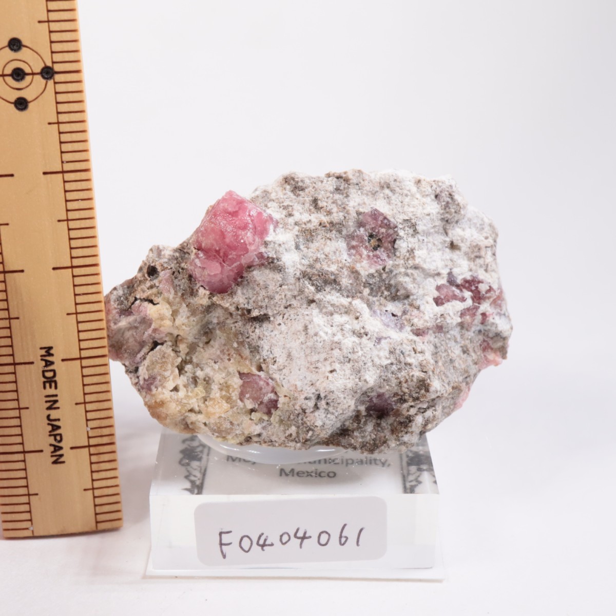 �ᥭ������ ��������顼�����ͥå�