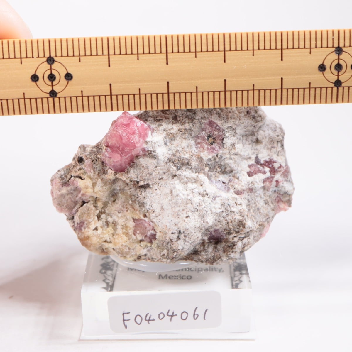 �ᥭ������ ��������顼�����ͥå�