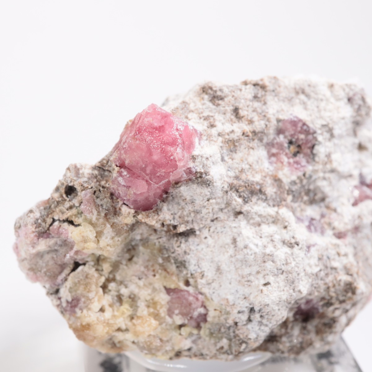 �ᥭ������ ��������顼�����ͥå�