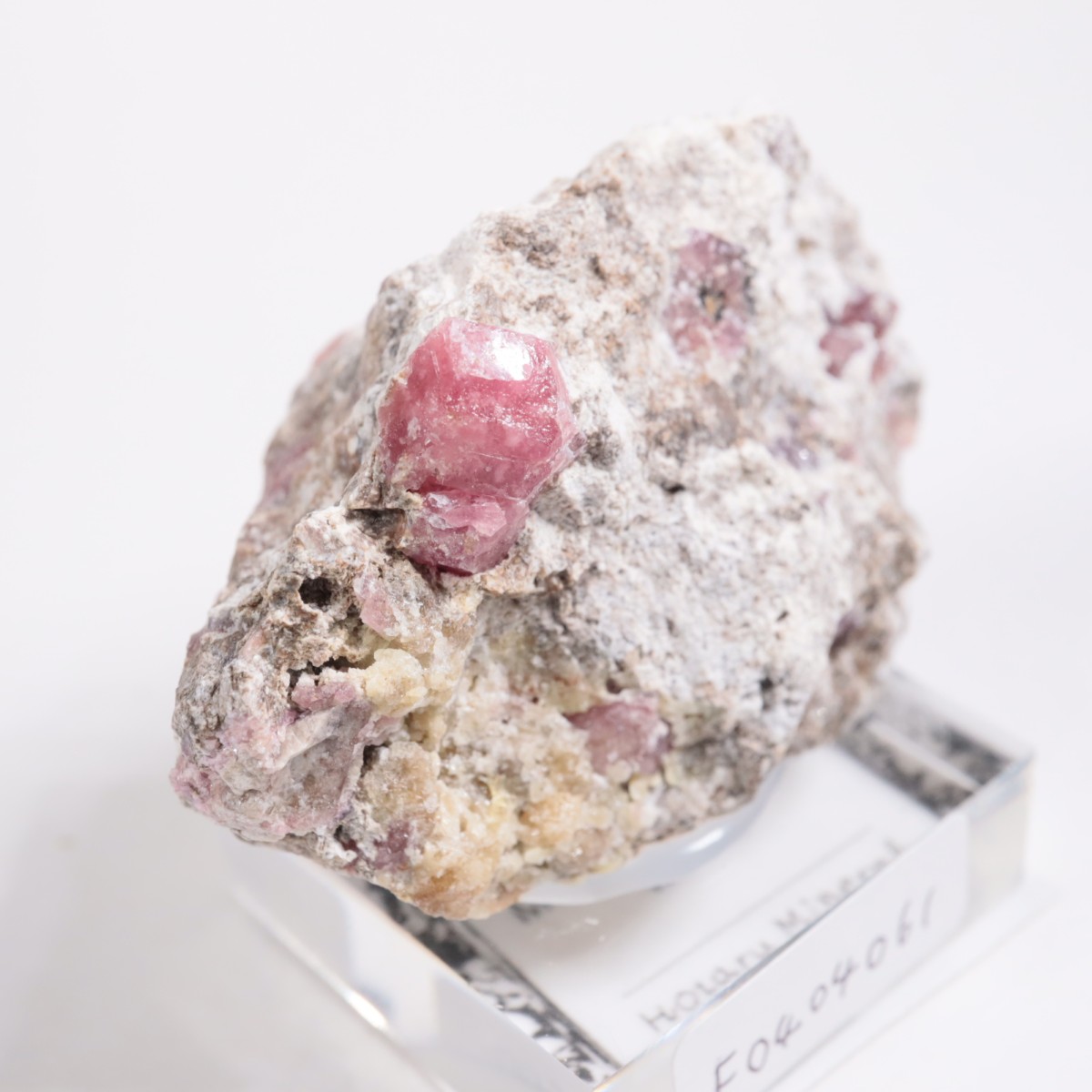 �ᥭ������ ��������顼�����ͥå�