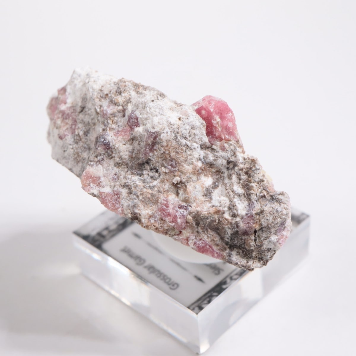 �ᥭ������ ��������顼�����ͥå�