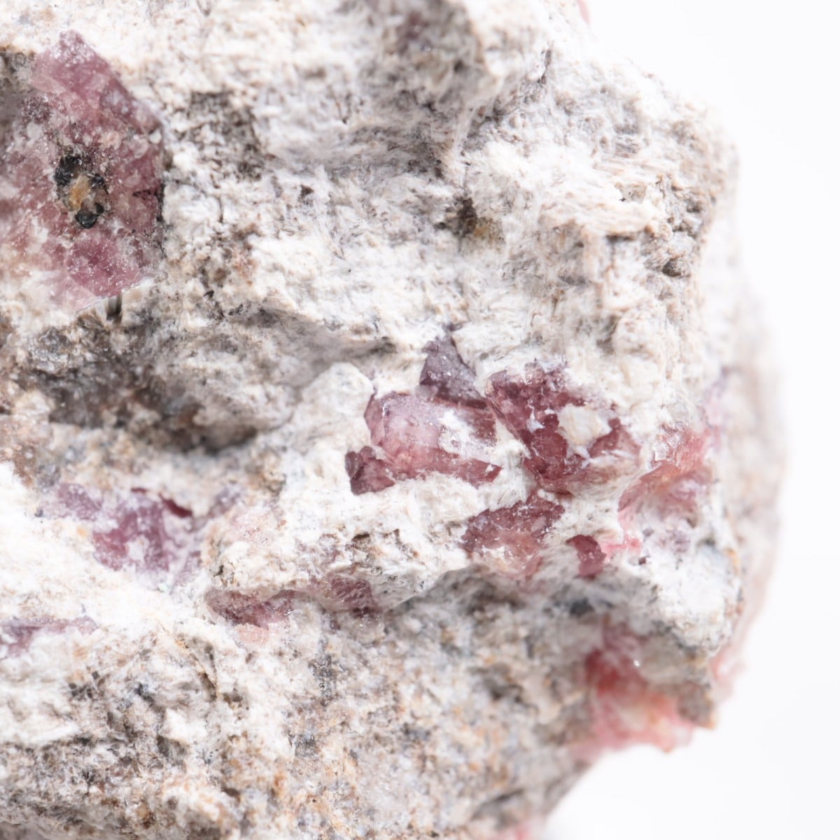 �ᥭ������ ��������顼�����ͥå�