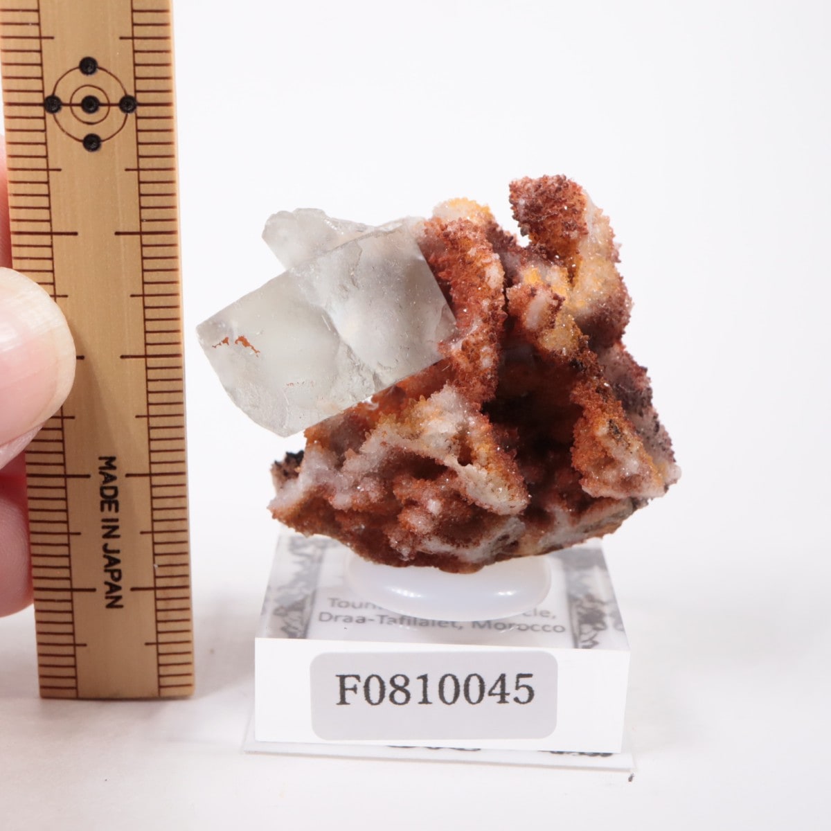 ����å��� �ե����饤��