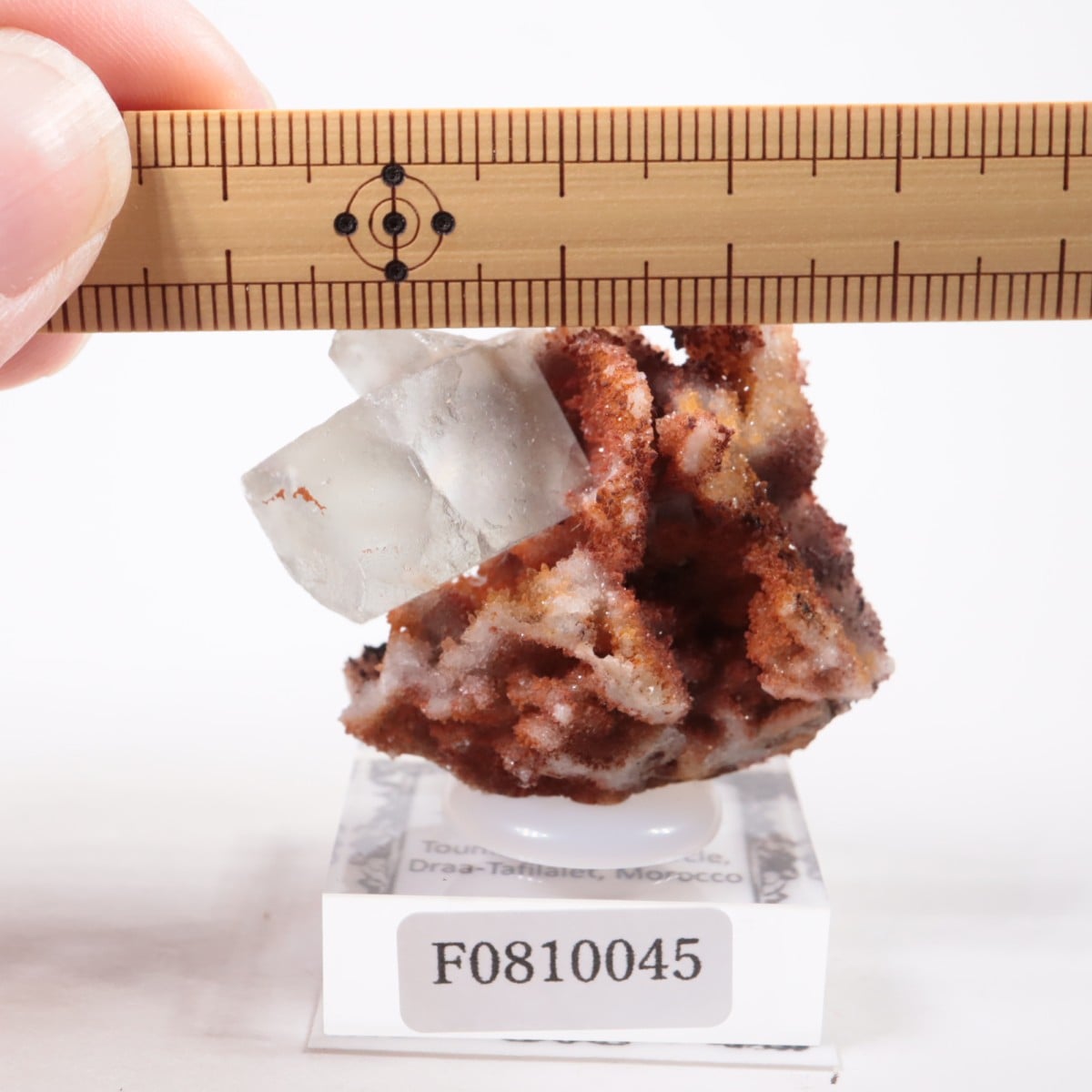 ����å��� �ե����饤��