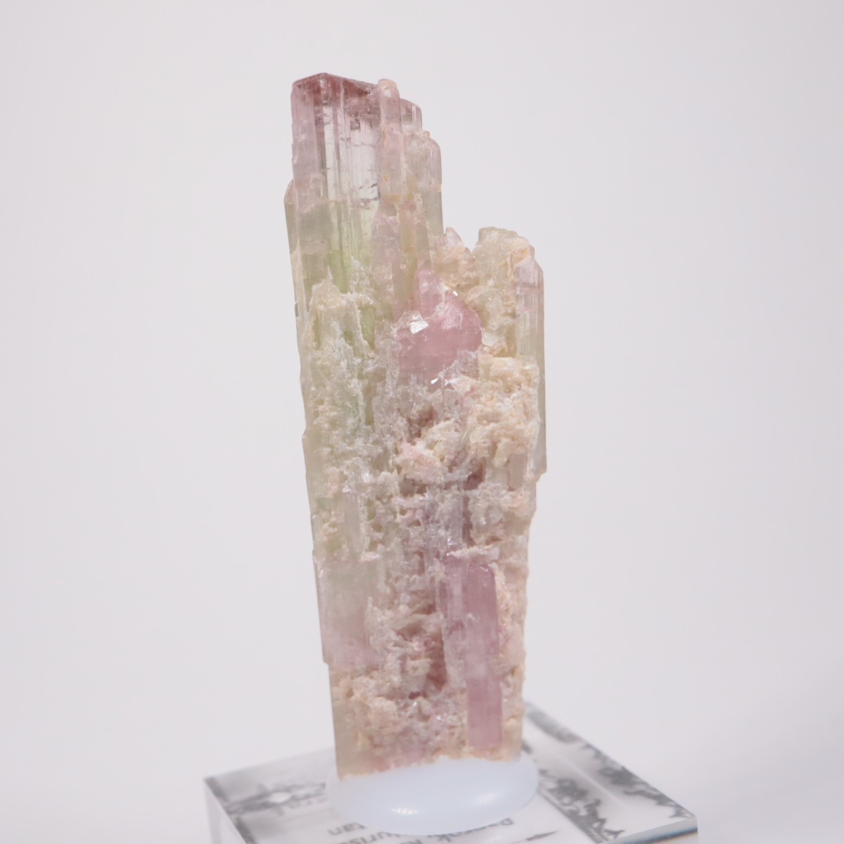 ���ե��˥����� �ȥ�ޥ��