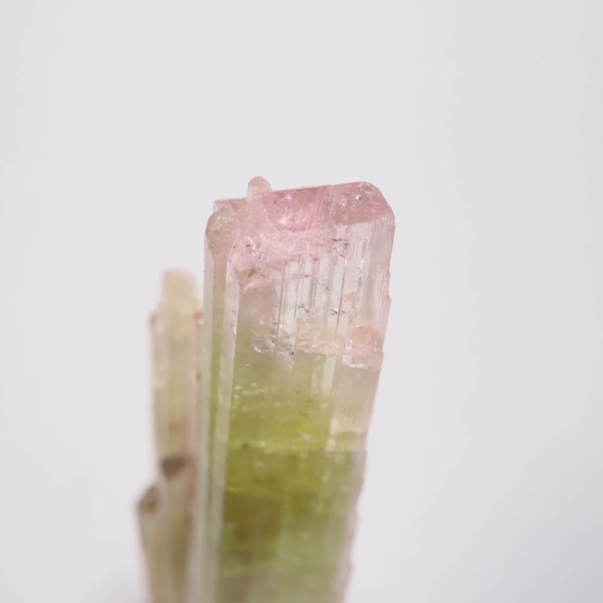 ���ե��˥����� �ȥ�ޥ��