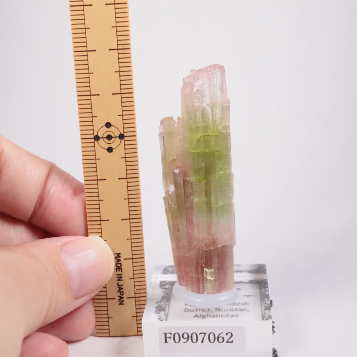 ���ե��˥����� �ȥ�ޥ��