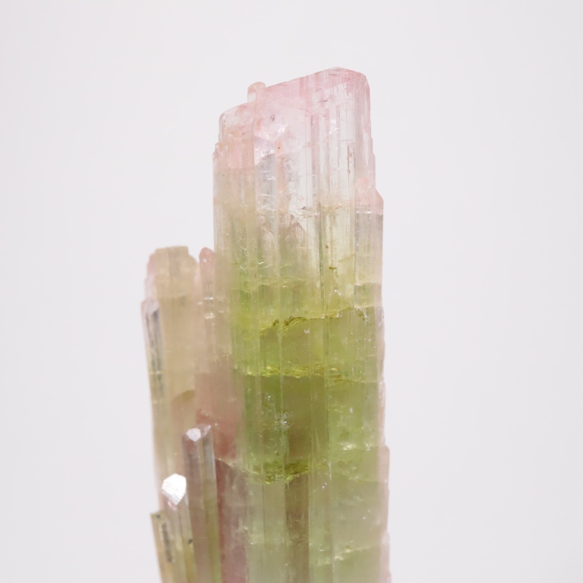 ���ե��˥����� �ȥ�ޥ��