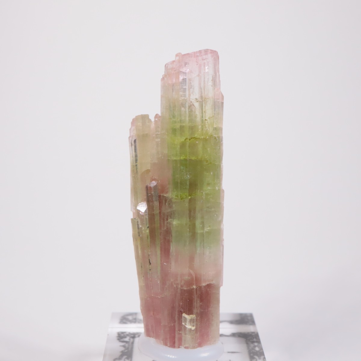 ���ե��˥����� �ȥ�ޥ��