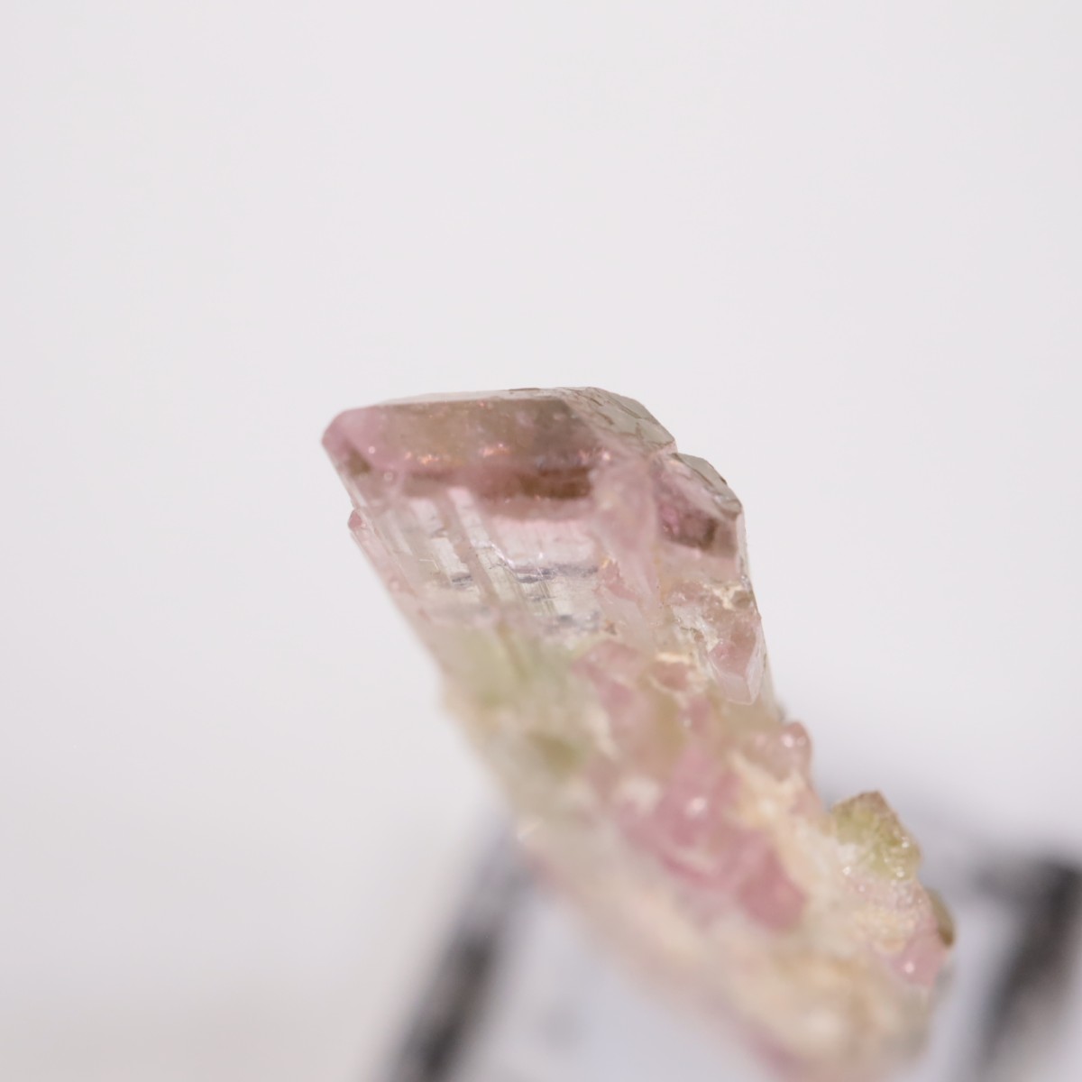 ���ե��˥����� �ȥ�ޥ��