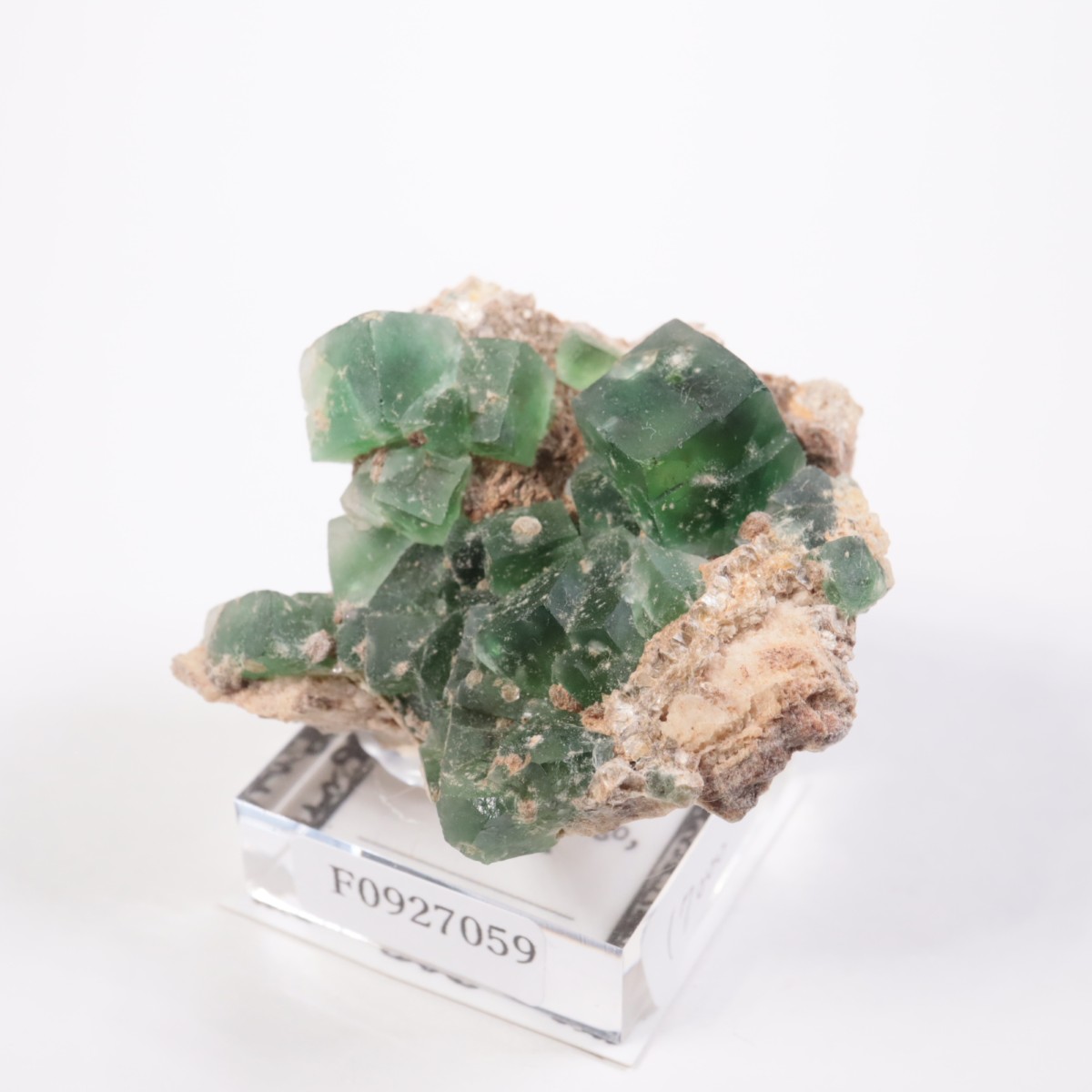 Erongo�ۻ� �ե����饤��