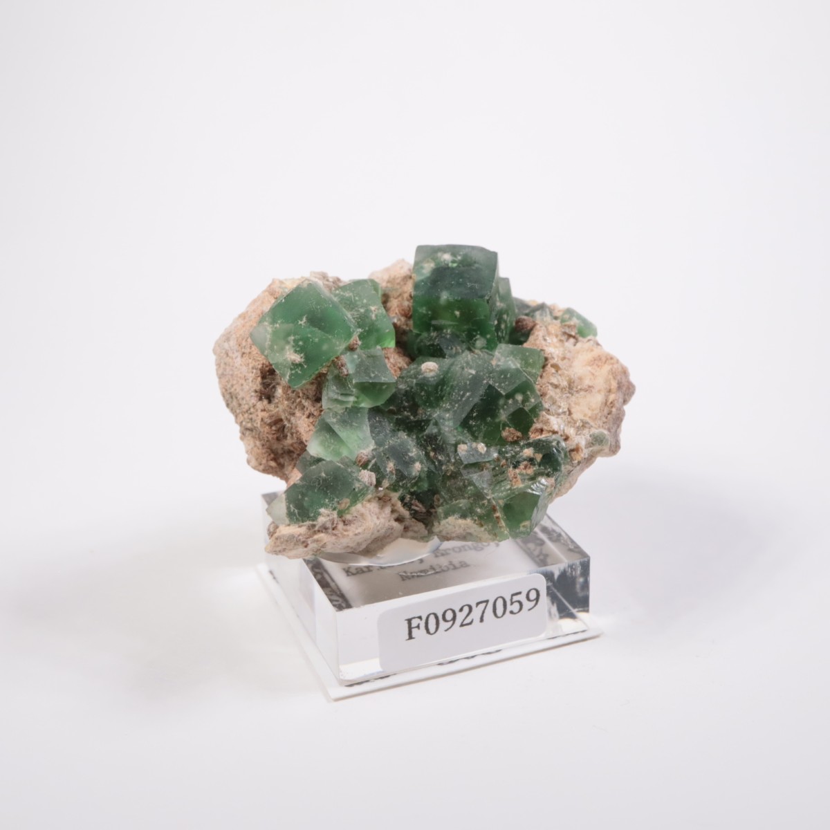 Erongo�ۻ� �ե����饤��