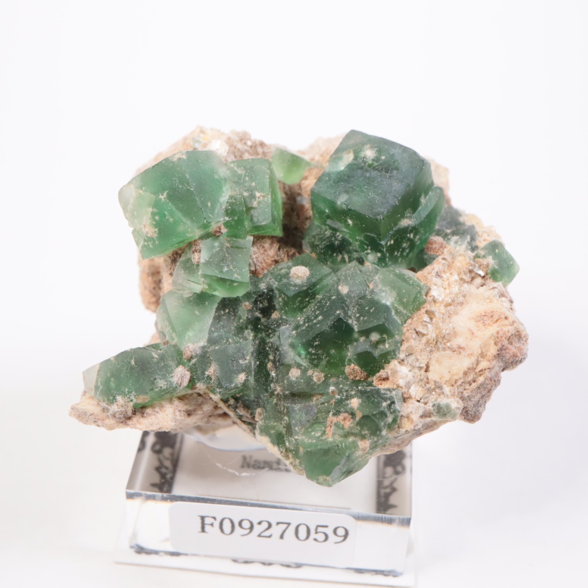 Erongo�ۻ� �ե����饤��