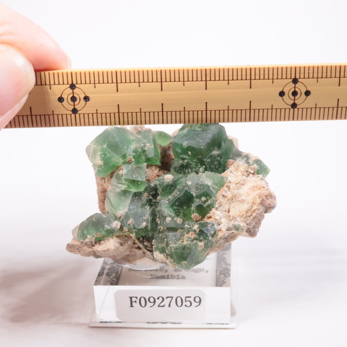 Erongo�ۻ� �ե����饤��