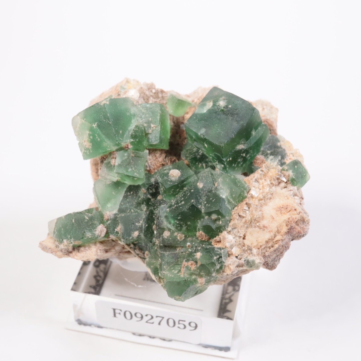 Erongo�ۻ� �ե����饤��