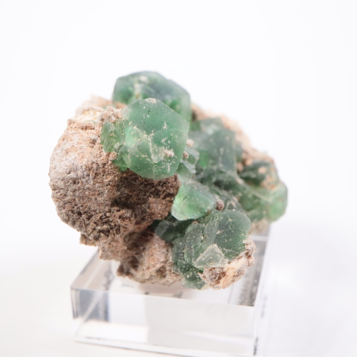 Erongo�ۻ� �ե����饤��