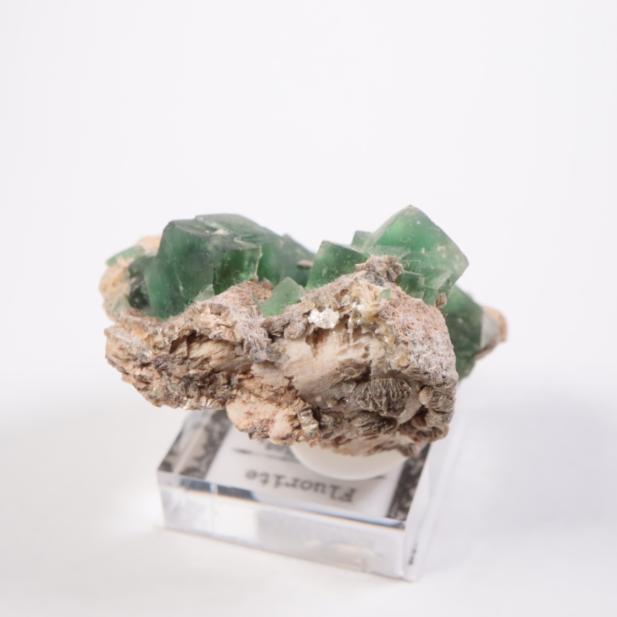 Erongo�ۻ� �ե����饤��