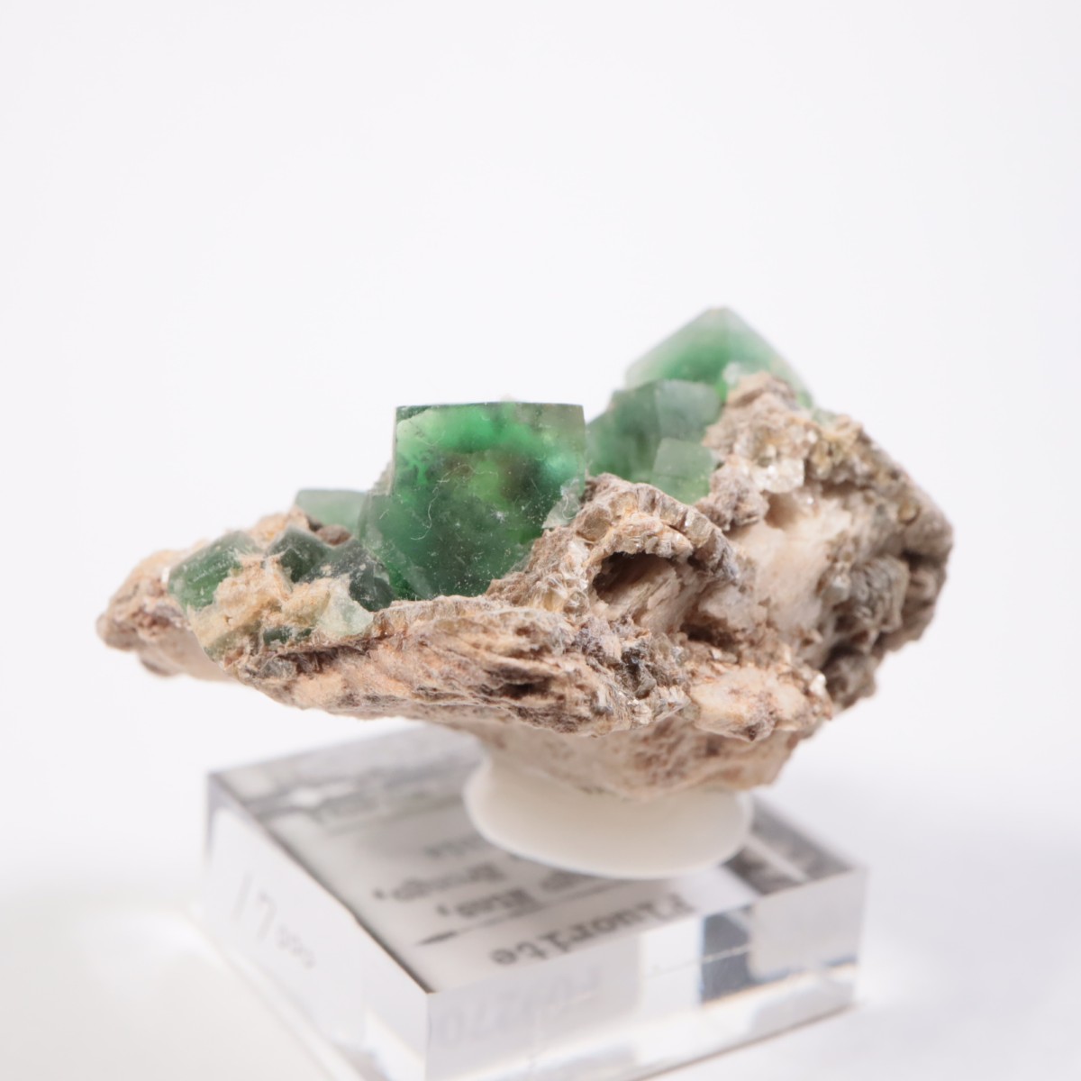 Erongo�ۻ� �ե����饤��