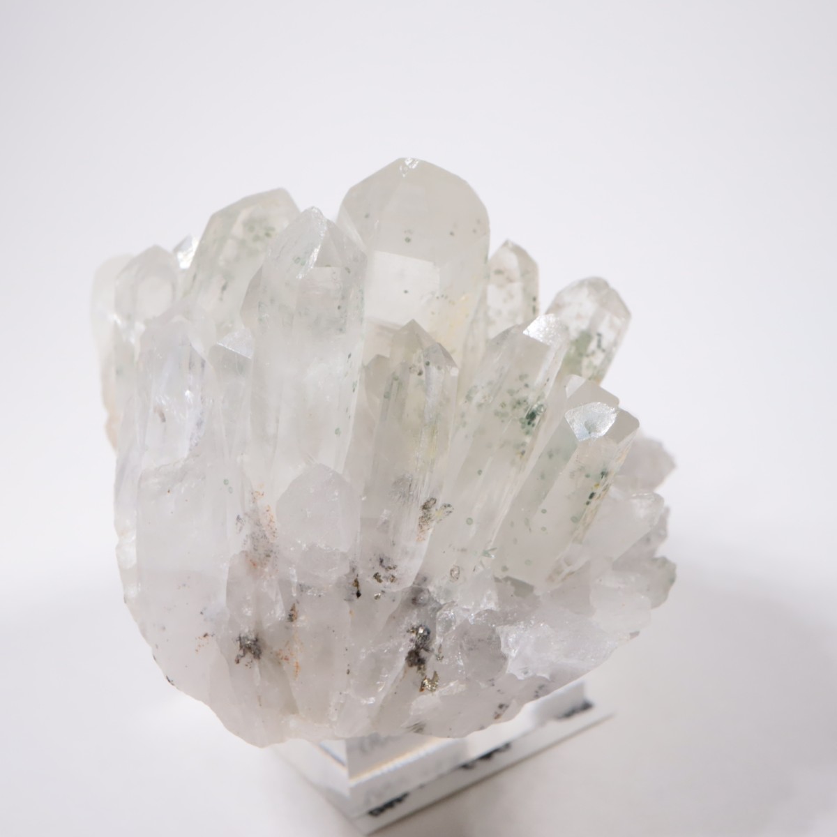 �֥륬�ꥢ�� �������ġ��������饤��