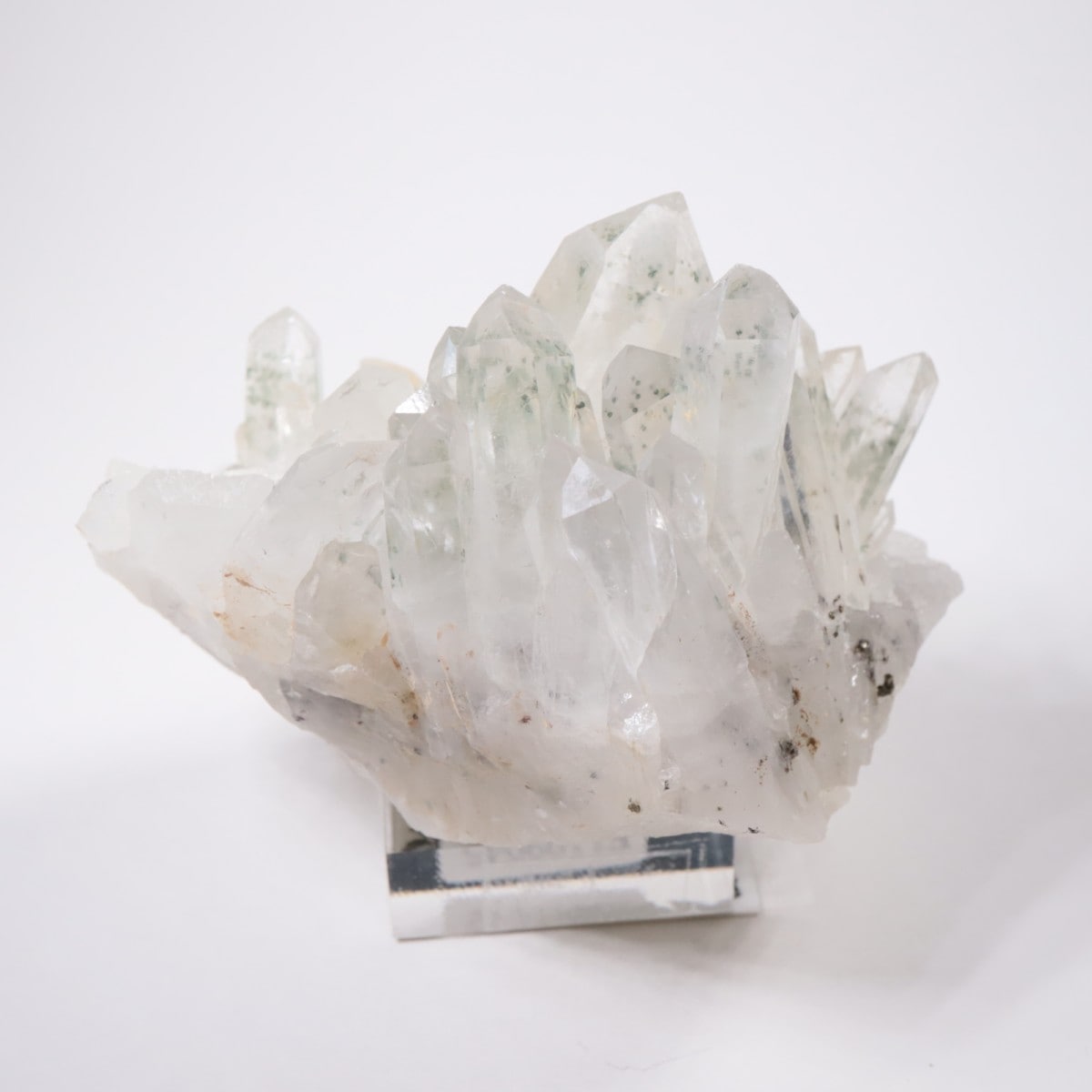 �֥륬�ꥢ�� �������ġ��������饤��