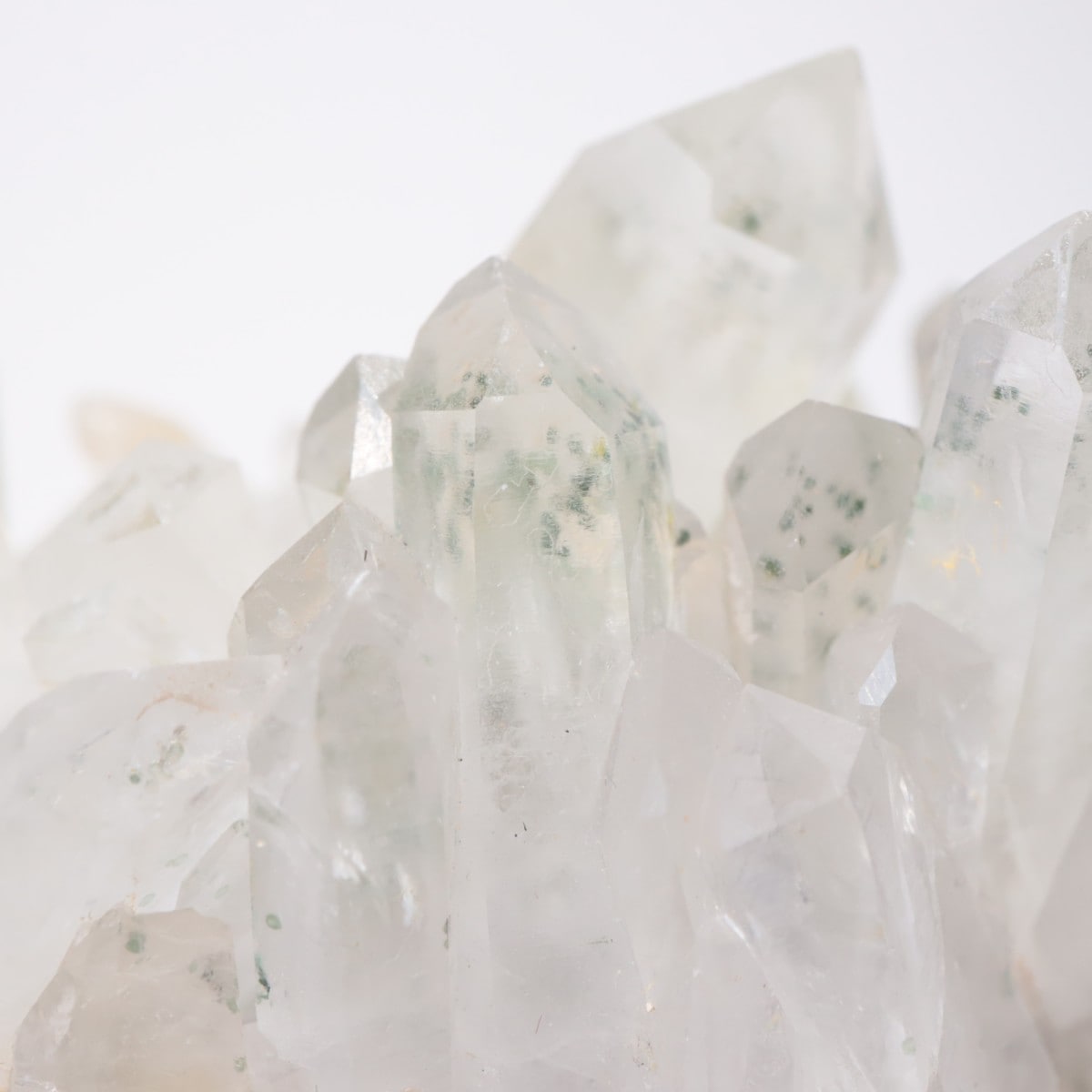 �֥륬�ꥢ�� �������ġ��������饤��