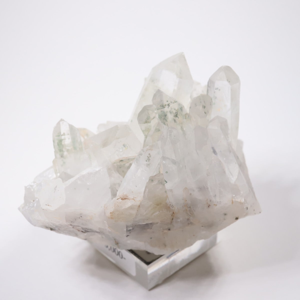 �֥륬�ꥢ�� �������ġ��������饤��