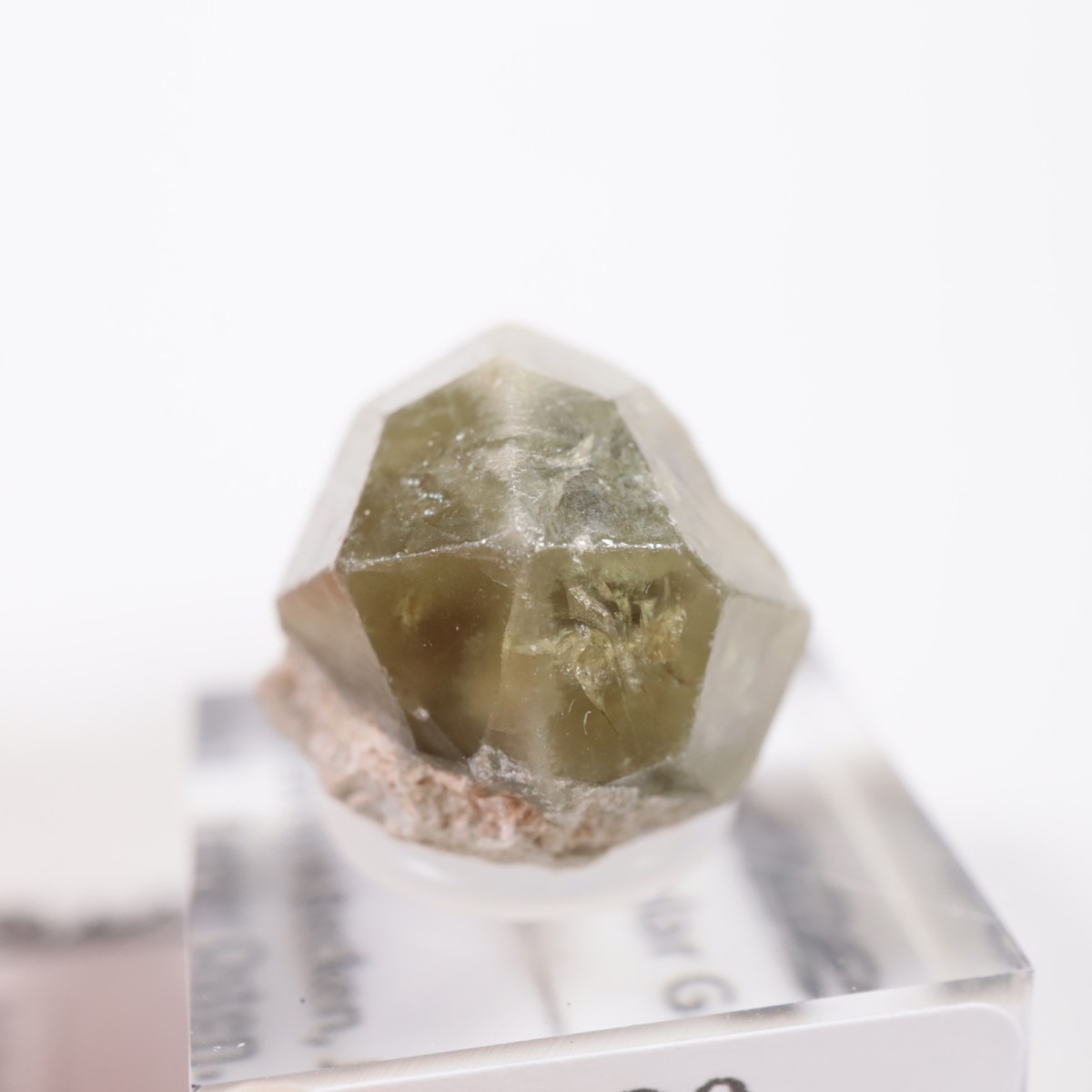 �������� ��������顼�����ͥå�