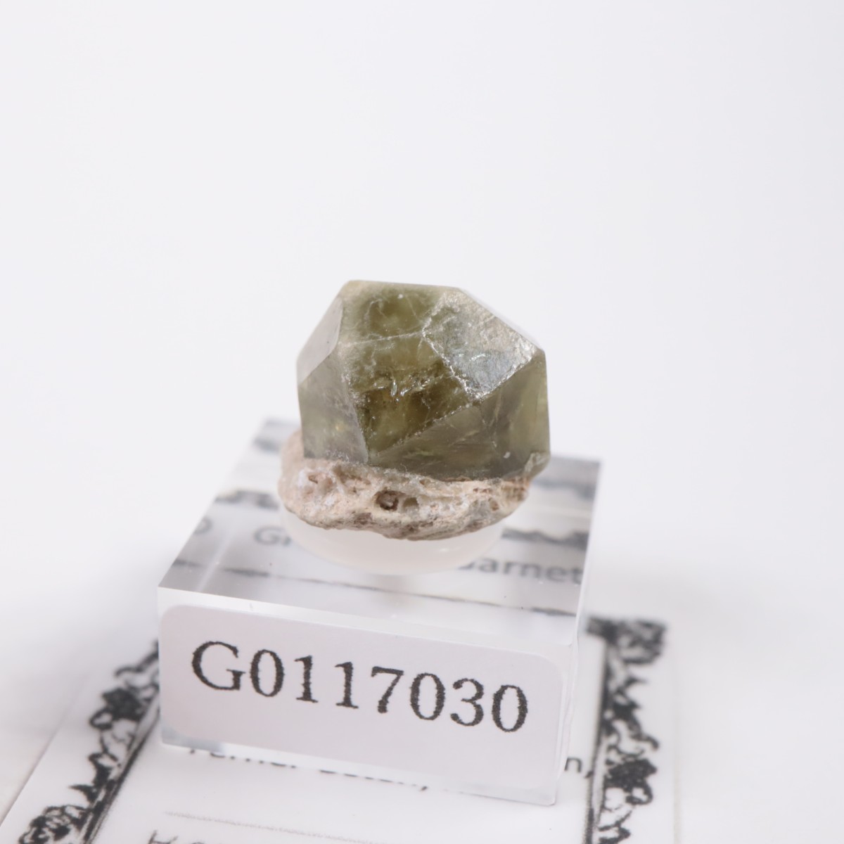 �������� ��������顼�����ͥå�