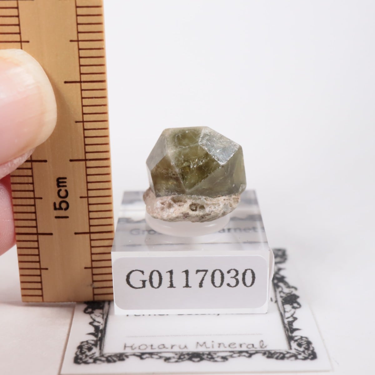 �������� ��������顼�����ͥå�