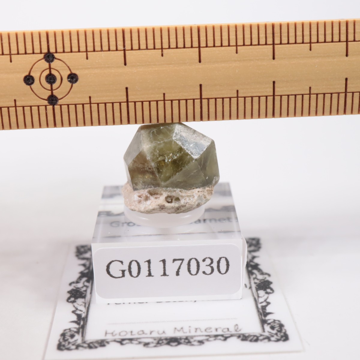 �������� ��������顼�����ͥå�