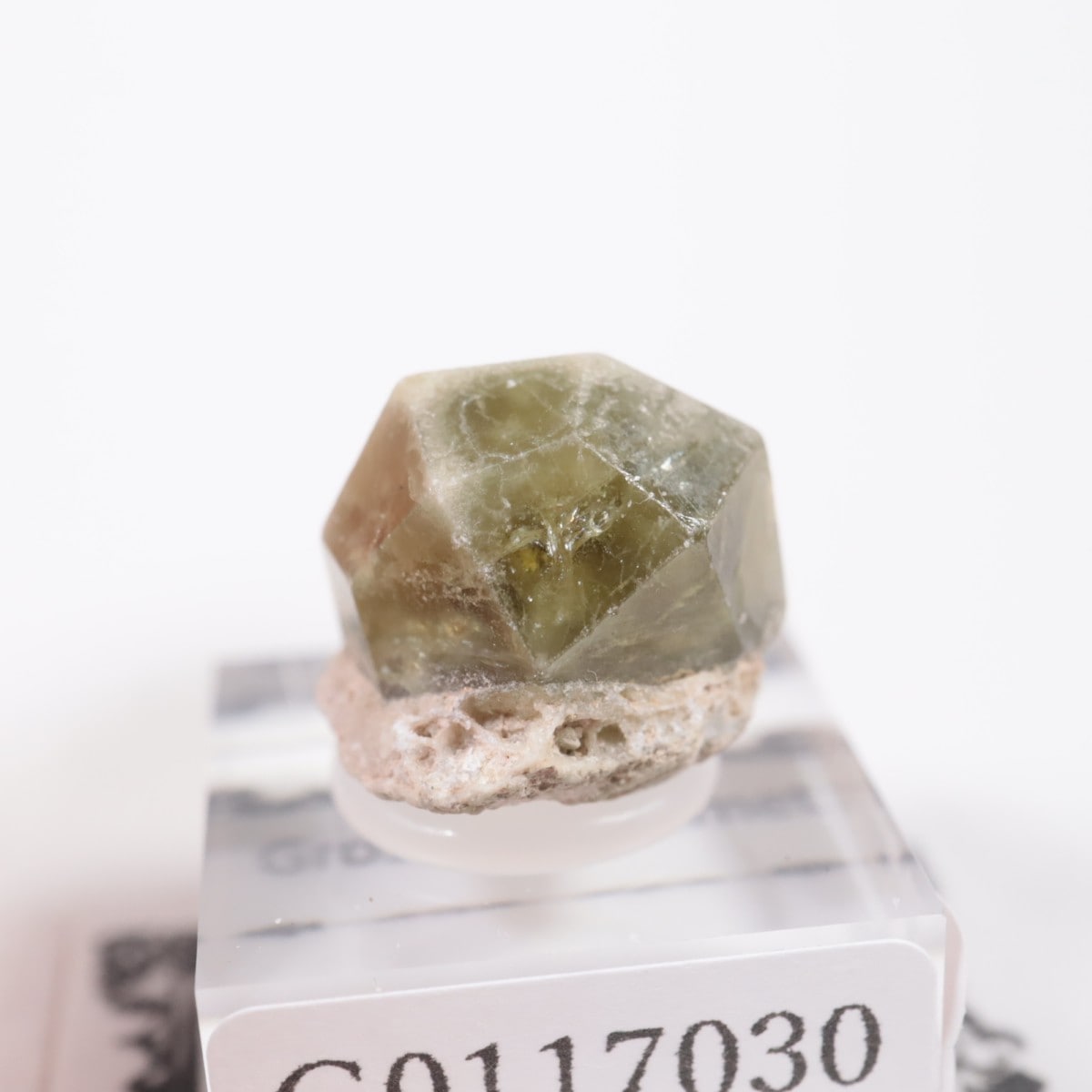 �������� ��������顼�����ͥå�