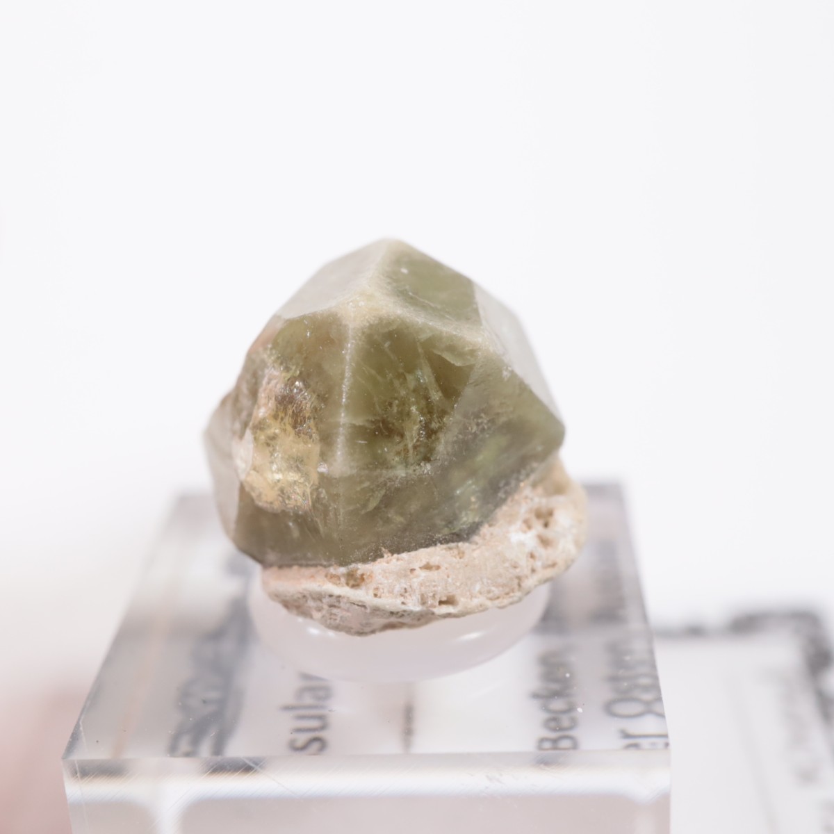 �������� ��������顼�����ͥå�