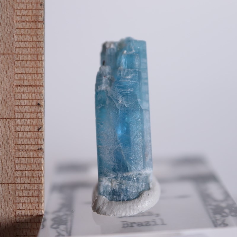 �֥饸�뻺��������ʥ���