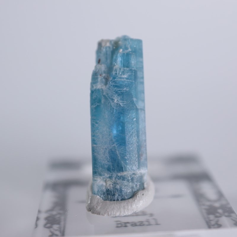 �֥饸�뻺��������ʥ���