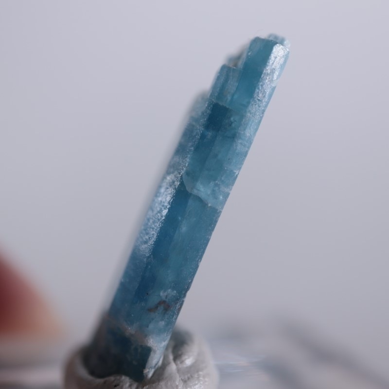 �֥饸�뻺��������ʥ���