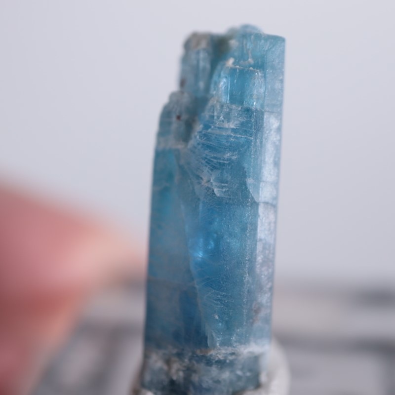 �֥饸�뻺��������ʥ���