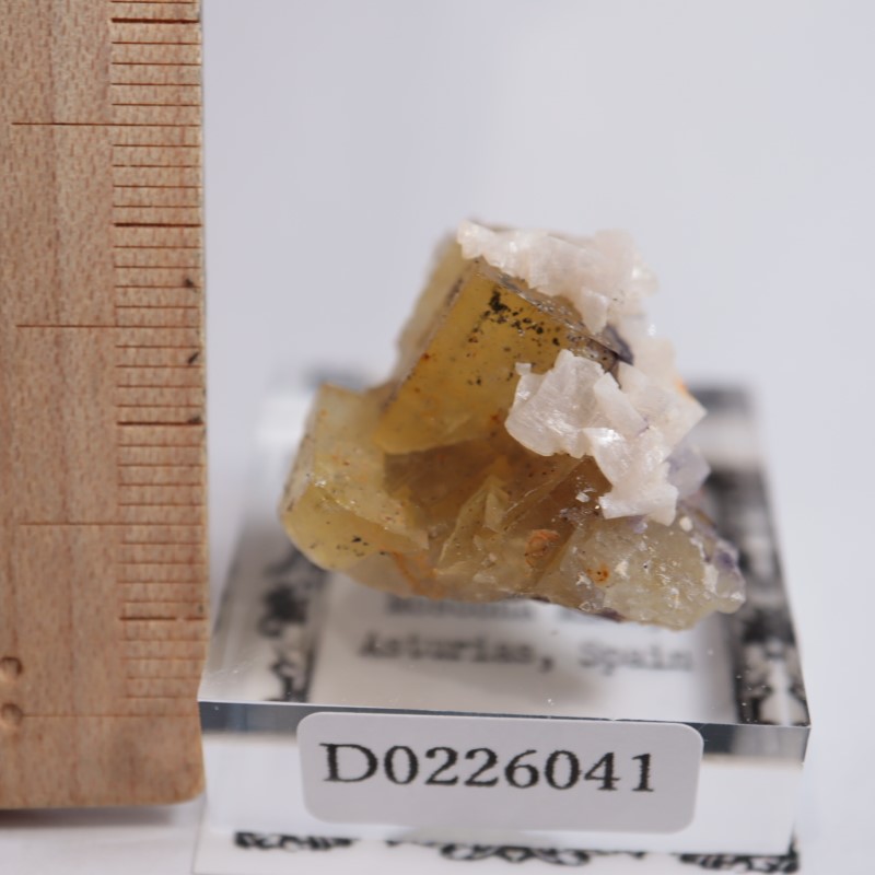 モスコナ鉱山 フローライト | 鉱物標本,ハ行,フローライト/蛍石,フロー