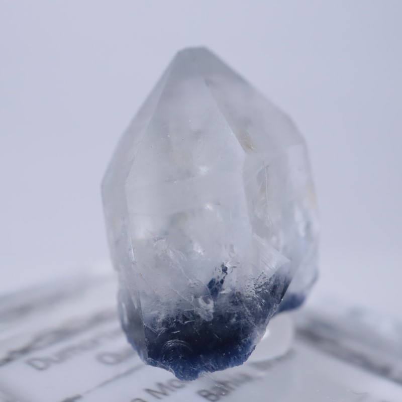 �֥饸�뻺���ǥ�������饤�ȥ��󥯥�����