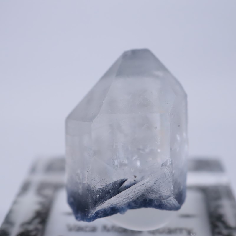 �֥饸�뻺���ǥ�������饤�ȥ��󥯥�����