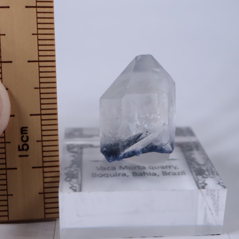 �֥饸�뻺���ǥ�������饤�ȥ��󥯥�����