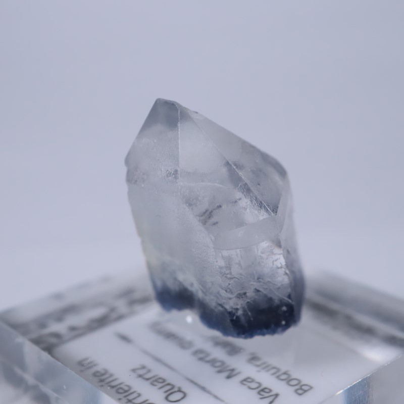 �֥饸�뻺���ǥ�������饤�ȥ��󥯥�����