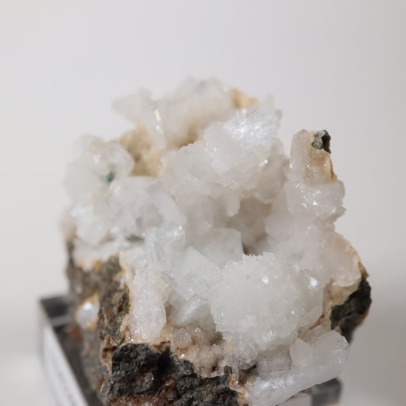 ���쥴�󽣡��ȥॽ��ʨ�С����ƥ���Х���