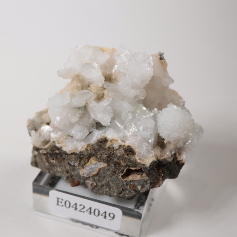 ���쥴�󽣡��ȥॽ��ʨ�С����ƥ���Х���