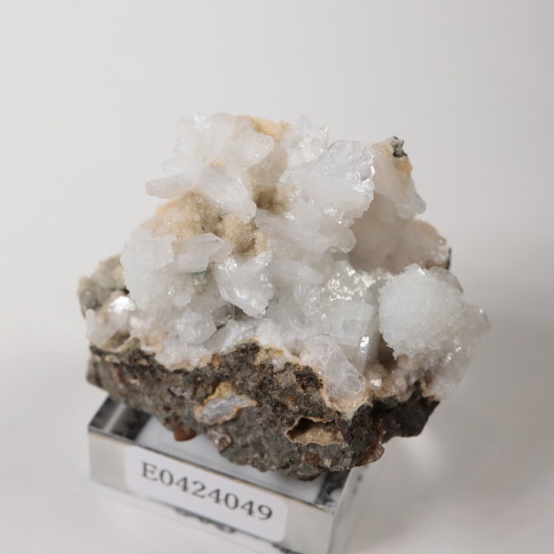 ���쥴�󽣡��ȥॽ��ʨ�С����ƥ���Х���